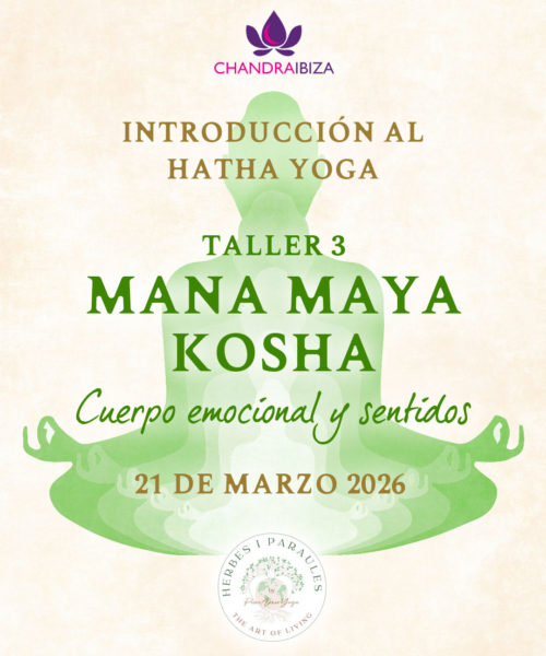 1-Instagram-TALLERES (1) 1-Instagram-TALLERES (1)