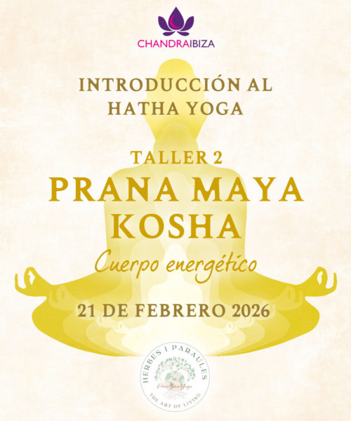 1-Instagram-TALLERES (3) 1-Instagram-TALLERES (3)