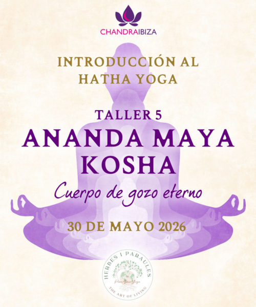 1-Instagram-TALLERES (4) 1-Instagram-TALLERES (4)